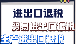如何填寫電子進(jìn)出口退稅外匯驗證表